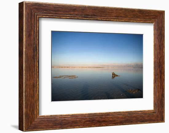 Couple in Healing Mud, Dead Sea, Israel-David Noyes-Framed Photographic Print