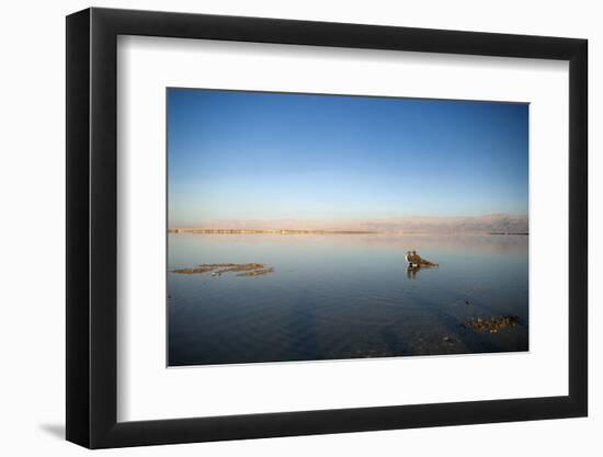 Couple in Healing Mud, Dead Sea, Israel-David Noyes-Framed Photographic Print