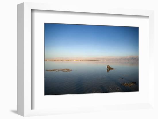 Couple in Healing Mud, Dead Sea, Israel-David Noyes-Framed Photographic Print