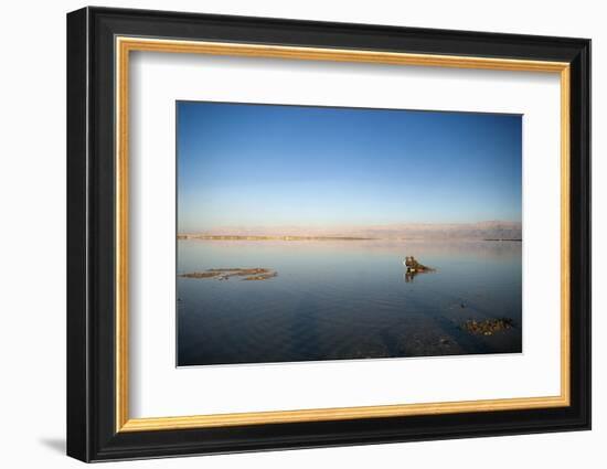 Couple in Healing Mud, Dead Sea, Israel-David Noyes-Framed Photographic Print