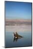 Couple in Healing Mud, Dead Sea, Israel-David Noyes-Mounted Photographic Print