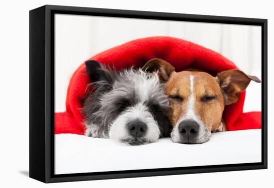 Couple in Love-Javier Brosch-Framed Premier Image Canvas