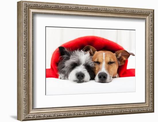 Couple in Love-Javier Brosch-Framed Photographic Print