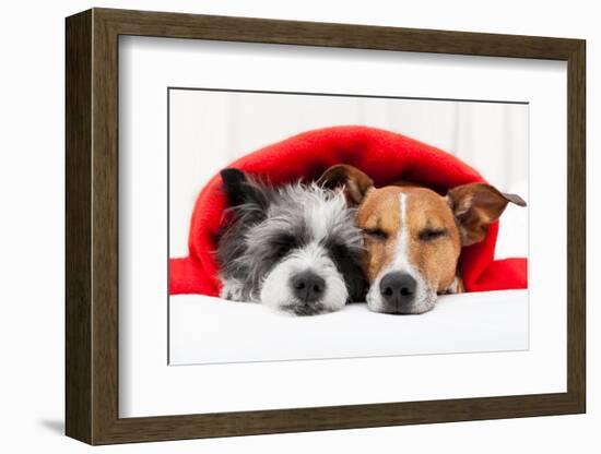 Couple in Love-Javier Brosch-Framed Photographic Print