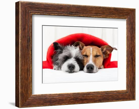 Couple in Love-Javier Brosch-Framed Photographic Print