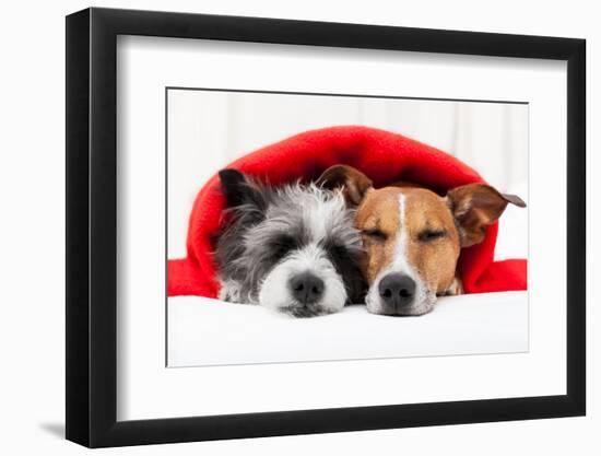 Couple in Love-Javier Brosch-Framed Photographic Print