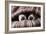 Couple of Dogs in Love Sleeping Together under the Blanket in Bed-Javier Brosch-Framed Photographic Print