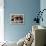 Couple of Dogs-Javier Brosch-Framed Premier Image Canvas displayed on a wall