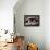 Couple of Dogs-Javier Brosch-Framed Premier Image Canvas displayed on a wall