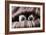 Couple of Dogs-Javier Brosch-Framed Photographic Print