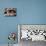 Couple of Dogs-Javier Brosch-Mounted Photographic Print displayed on a wall