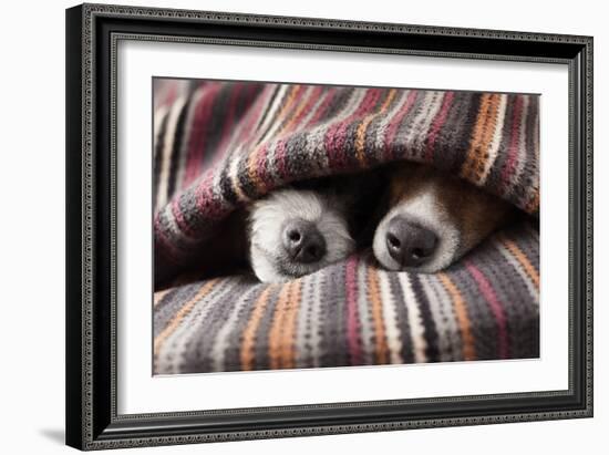 Couple of Dogs-Javier Brosch-Framed Photographic Print