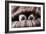 Couple of Dogs-Javier Brosch-Framed Photographic Print