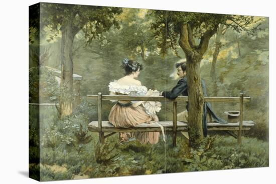 Stretched Canvas Print, , large
