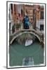 Couple on Bridge During Carnival, Venice, Italy-Darrell Gulin-Mounted Photographic Print