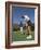 Couple on the Golf Cource-Chris Trotman-Framed Photographic Print