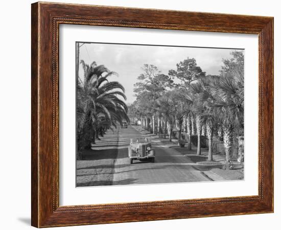 Couple Ride in Car/Tree-Lined Street-Philip Gendreau-Framed Photographic Print