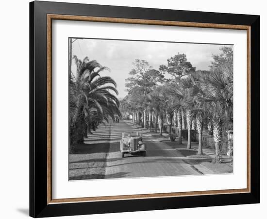 Couple Ride in Car/Tree-Lined Street-Philip Gendreau-Framed Photographic Print