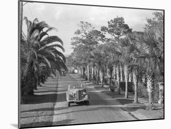 Couple Ride in Car/Tree-Lined Street-Philip Gendreau-Mounted Photographic Print