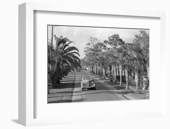 Couple Ride in Car/Tree-Lined Street-Bettmann-Framed Photographic Print