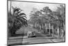 Couple Ride in Car/Tree-Lined Street-Bettmann-Mounted Photographic Print