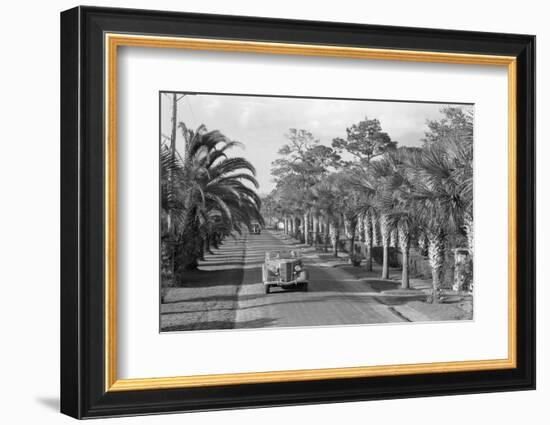 Couple Ride in Car/Tree-Lined Street-Bettmann-Framed Photographic Print