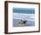 Couple Riding Horses on the Beach, Tibau Do Sul, Natal, Rio Grande Do Norte State, Brazil-Sergio Pitamitz-Framed Photographic Print