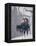 Couple Riding Up the Ski Lift During a Snow Storm, Vail, Colorado, USA-Paul Sutton-Framed Premier Image Canvas