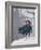 Couple Riding Up the Ski Lift During a Snow Storm, Vail, Colorado, USA-Paul Sutton-Framed Photographic Print