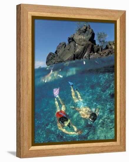 Couple Snorkeling-Amos Nachoum-Framed Premier Image Canvas