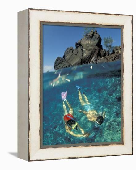 Couple Snorkeling-Amos Nachoum-Framed Premier Image Canvas