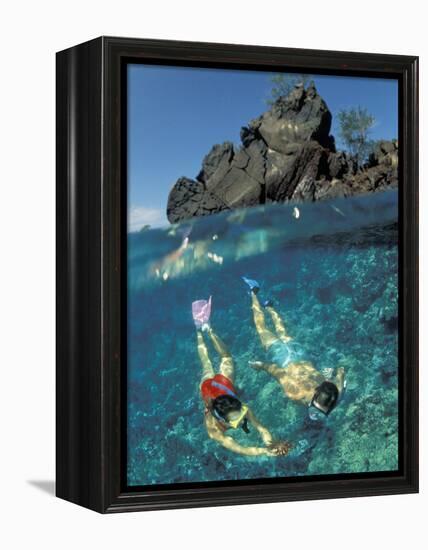 Couple Snorkeling-Amos Nachoum-Framed Premier Image Canvas