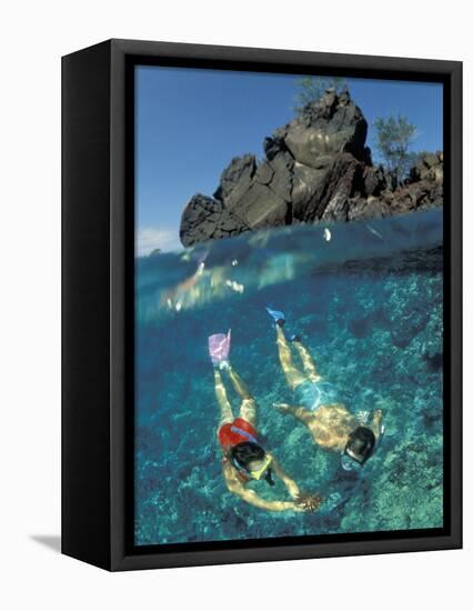 Couple Snorkeling-Amos Nachoum-Framed Premier Image Canvas