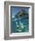 Couple Snorkeling-Amos Nachoum-Framed Photographic Print