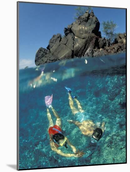 Couple Snorkeling-Amos Nachoum-Mounted Photographic Print