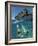 Couple Snorkeling-Amos Nachoum-Framed Photographic Print