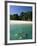 Couple Snorkelling, Chapera Island (Contadora), Las Perlas Archipelago, Panama, Central America-Sergio Pitamitz-Framed Photographic Print