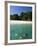 Couple Snorkelling, Chapera Island (Contadora), Las Perlas Archipelago, Panama, Central America-Sergio Pitamitz-Framed Photographic Print