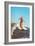 Couple Surfing-null-Framed Art Print