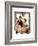 Couple Uncrating Turkey-Norman Rockwell-Framed Giclee Print