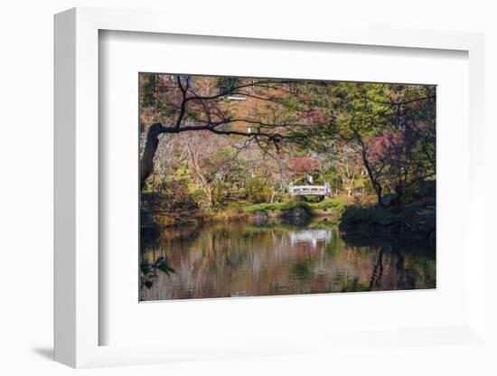 Couple walking across a bridge over a pond in the Narita Temple Garden-Sheila Haddad-Framed Photographic Print