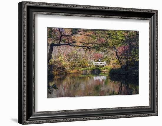 Couple walking across a bridge over a pond in the Narita Temple Garden-Sheila Haddad-Framed Photographic Print