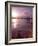 Couple Walking Along Beach at Sunset, Nassau, Bahamas, Caribbean-Greg Johnston-Framed Photographic Print