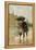 Couple Walking in the Rain on an English City Street, 1800s-null-Framed Premier Image Canvas