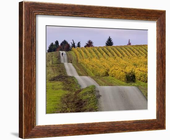 Couple Walking in Vineyard, King Estate Winery, Eugene, Oregon-Janis Miglavs-Framed Photographic Print