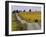 Couple Walking in Vineyard, King Estate Winery, Eugene, Oregon-Janis Miglavs-Framed Photographic Print