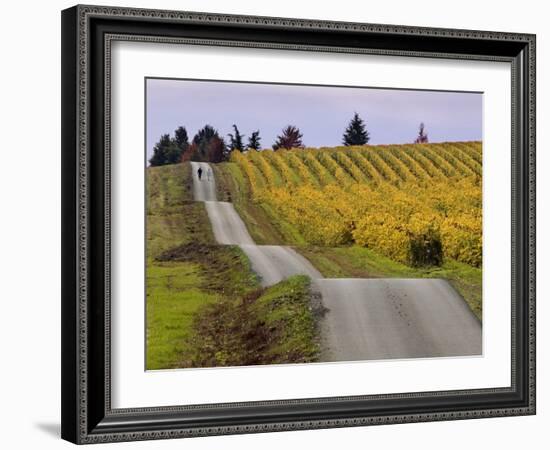 Couple Walking in Vineyard, King Estate Winery, Eugene, Oregon-Janis Miglavs-Framed Photographic Print