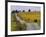 Couple Walking in Vineyard, King Estate Winery, Eugene, Oregon-Janis Miglavs-Framed Photographic Print