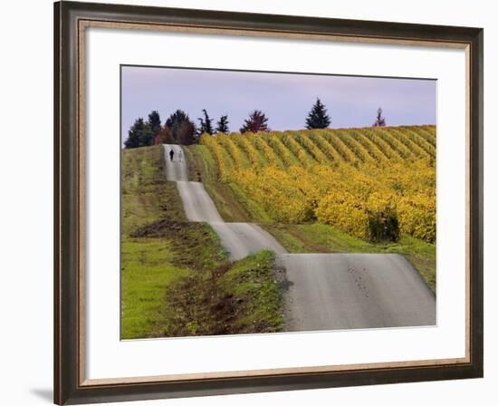 Couple Walking in Vineyard, King Estate Winery, Eugene, Oregon-Janis Miglavs-Framed Photographic Print