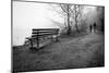 Couple Walking on Path Beside Lake-Sharon Wish-Mounted Photographic Print